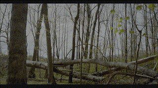 Mary Loss of Soul Movie Trailer | FlixHouse.com